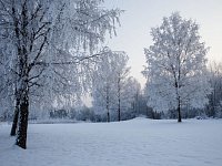 Внимание, похолодание!