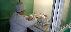 Ветеринар - профессия добра