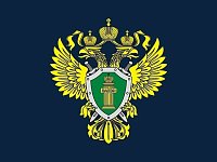Местный житель получил срок за пьяную езду