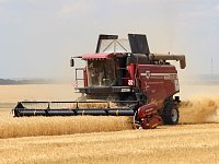 В районе намолотили 100 тысяч тонн зерна