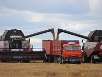 Уборочная страда подходит к финишу: цифры и герои недели