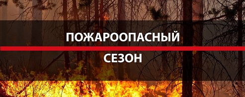 На территории Саратовской области со 2 апреля 2026 года устанавливается начало пожароопасного сезона
