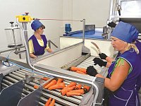 В Саратовской области планируют развивать переработку сельхозпродукции