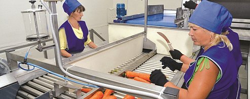 В Саратовской области планируют развивать переработку сельхозпродукции