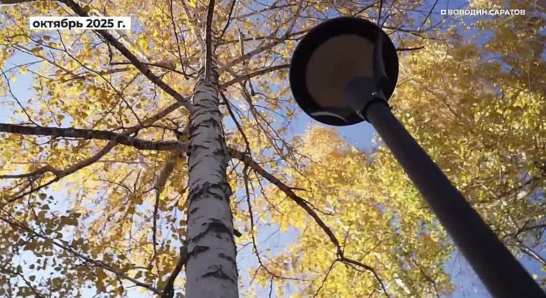 Около реабилитационного центра для участников СВО создан новый сквер