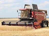 Хлеборобы приступили к уборке льна и горчицы