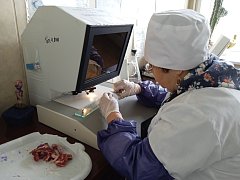 Ветеринар - профессия добра