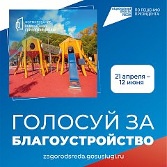 Голосуй за благоустройство! 
